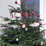 Weihnachtsbaum