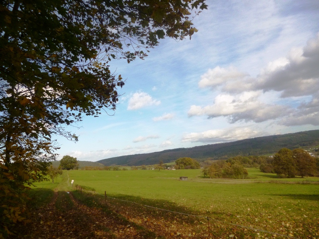 Grüne Wiesen und blauer Himmel